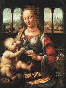 The Madonna of the Carnation  Leonardo  Da Vinci